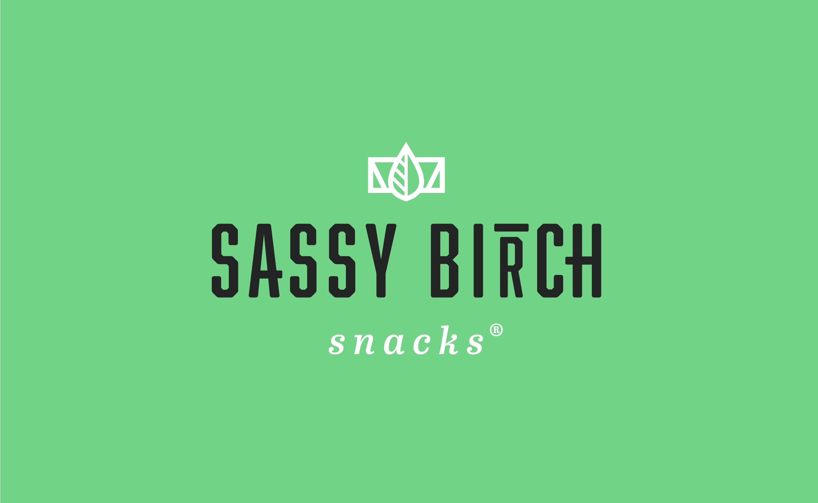 Sassy Birch Snacks - Creative Chameleon Studio